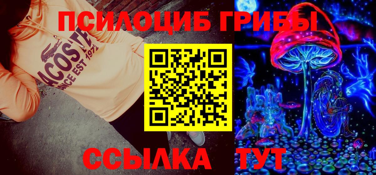 Псилоцибиновые грибы прущие грибы  Бузулук  Псилоцибиновые грибы мицелий 