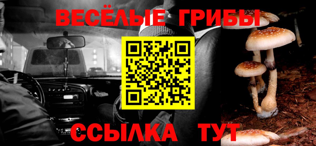 Псилоцибиновые грибы Cubensis Бузулук