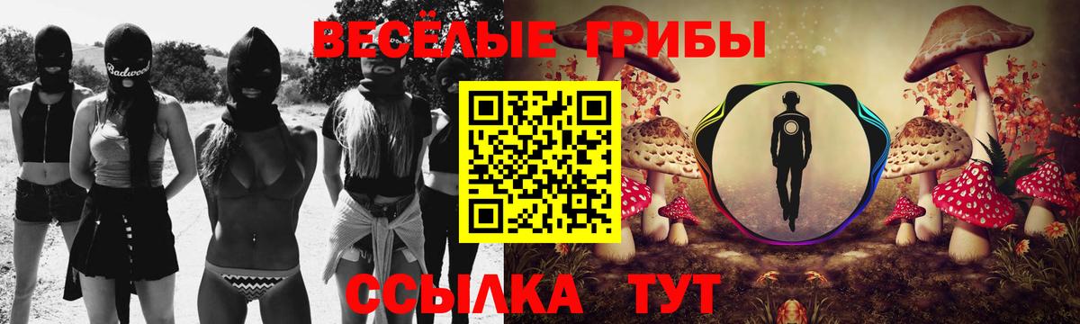 Псилоцибиновые грибы прущие грибы Бузулук